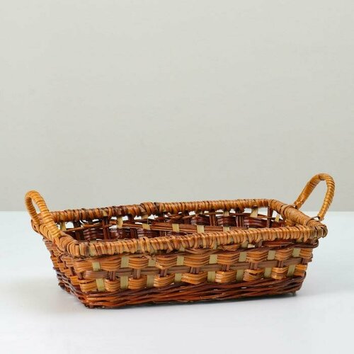 Плошка плетеная 25х18х7 папоротник 1524₽