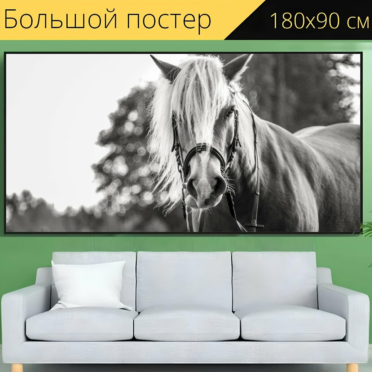 Большой постер "Лошадь, езда на лошади, лошади" 180 x 90 см. для интерьера
