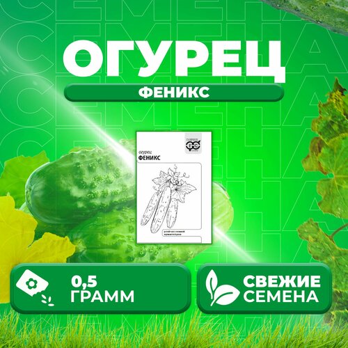 Огурец Феникс, 0,5г, Гавриш, Белые пакеты (1 уп)