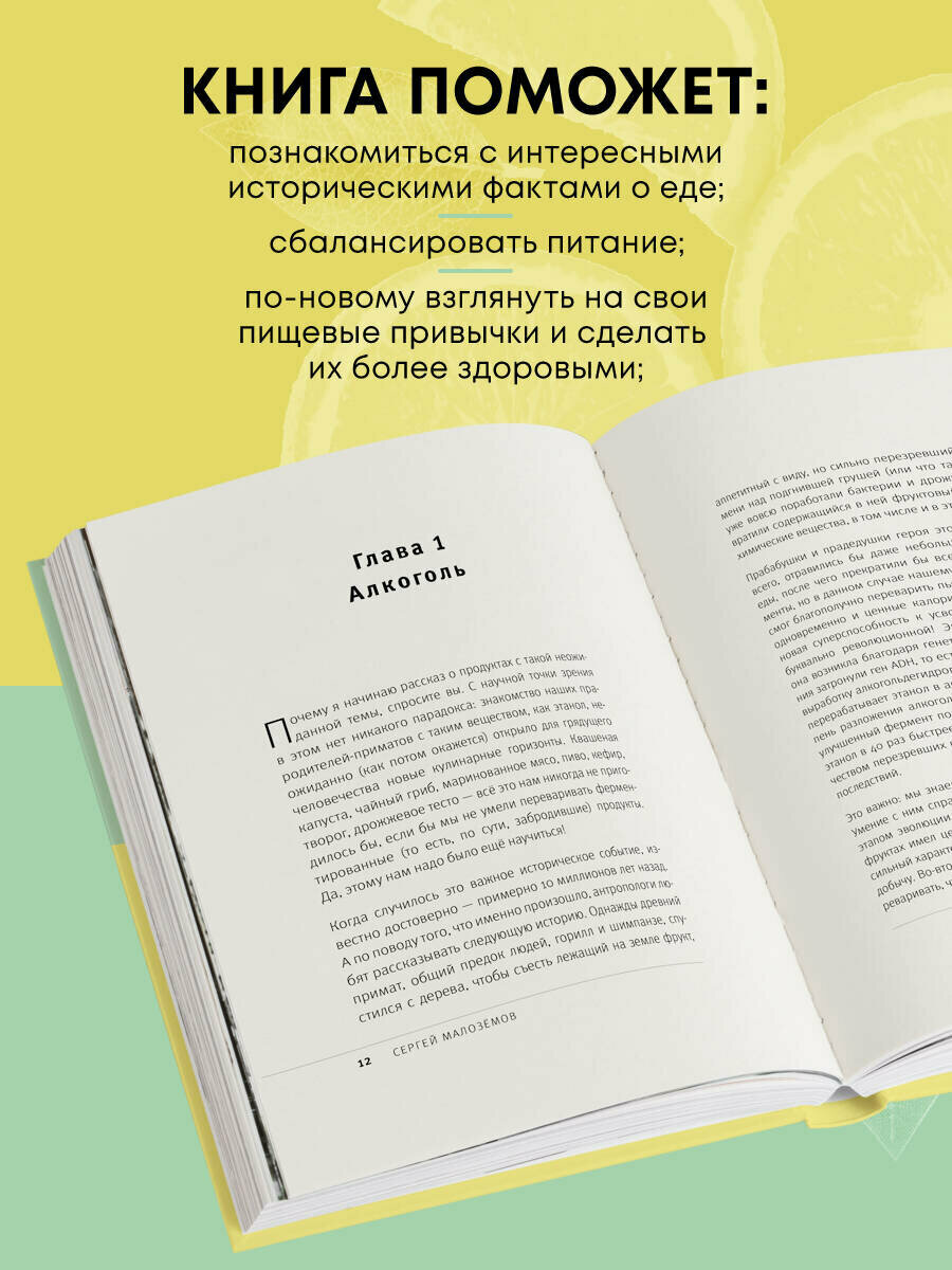 История еды (Малоземов Сергей Александрович) - фото №3