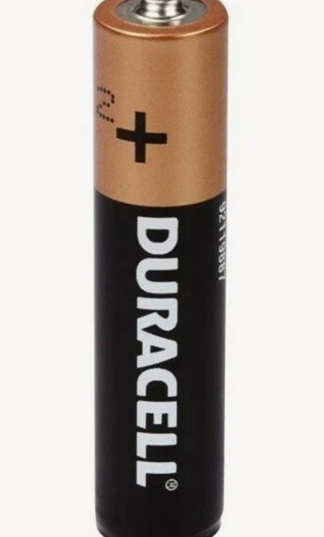 Батарейка Duracell Basic AAA, в упаковке: 12 шт. — фото 1