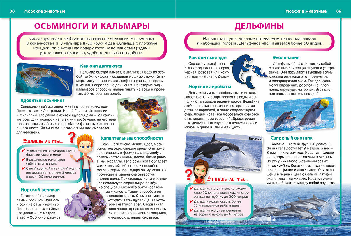 Энциклопедия для детей, которым всё интересно - фото №10