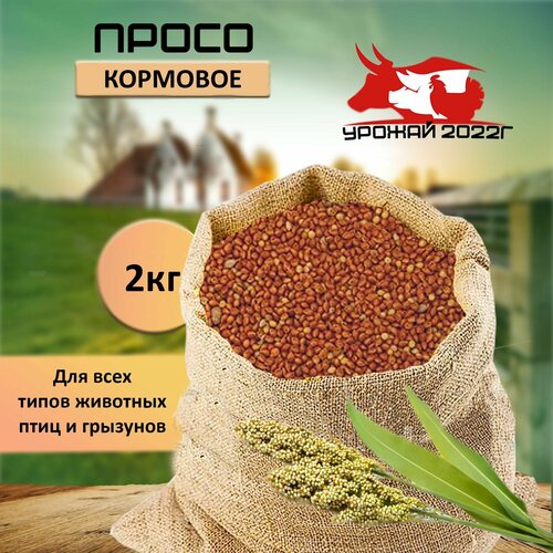 Корм для птиц зерно просо 2 кг