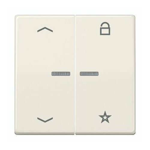 Интеллектуальный элемент управления FMAS1701P Jung 4011377152175 38285₽