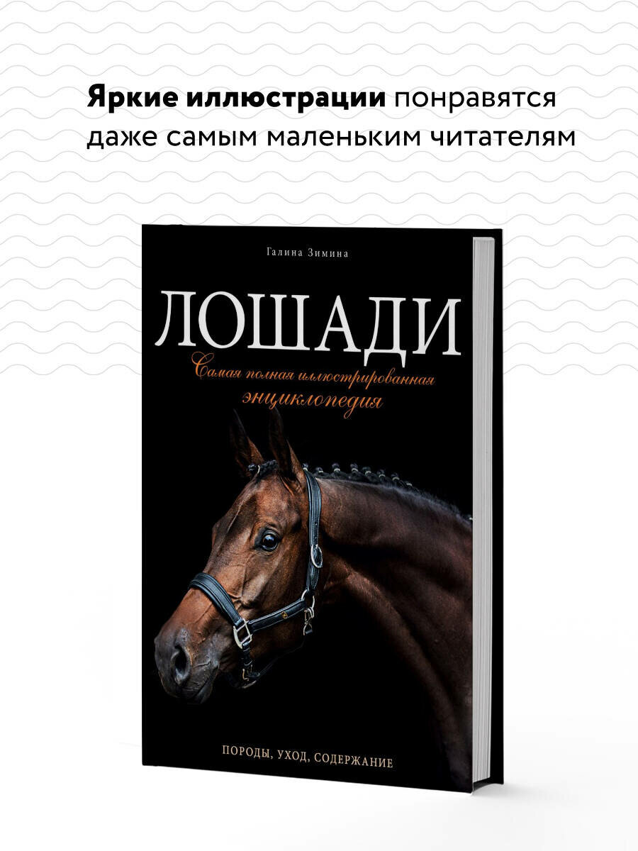 Лошади. Самая полная иллюстрированная энциклопедия - фото №3