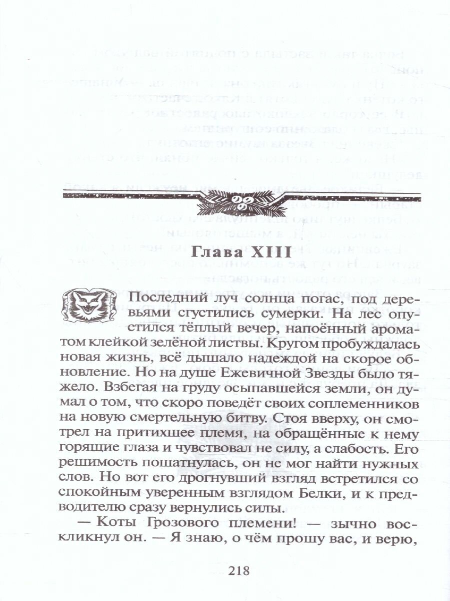 Книга Гроза Ежевичной Звезды. Вода и кровь - фото №4
