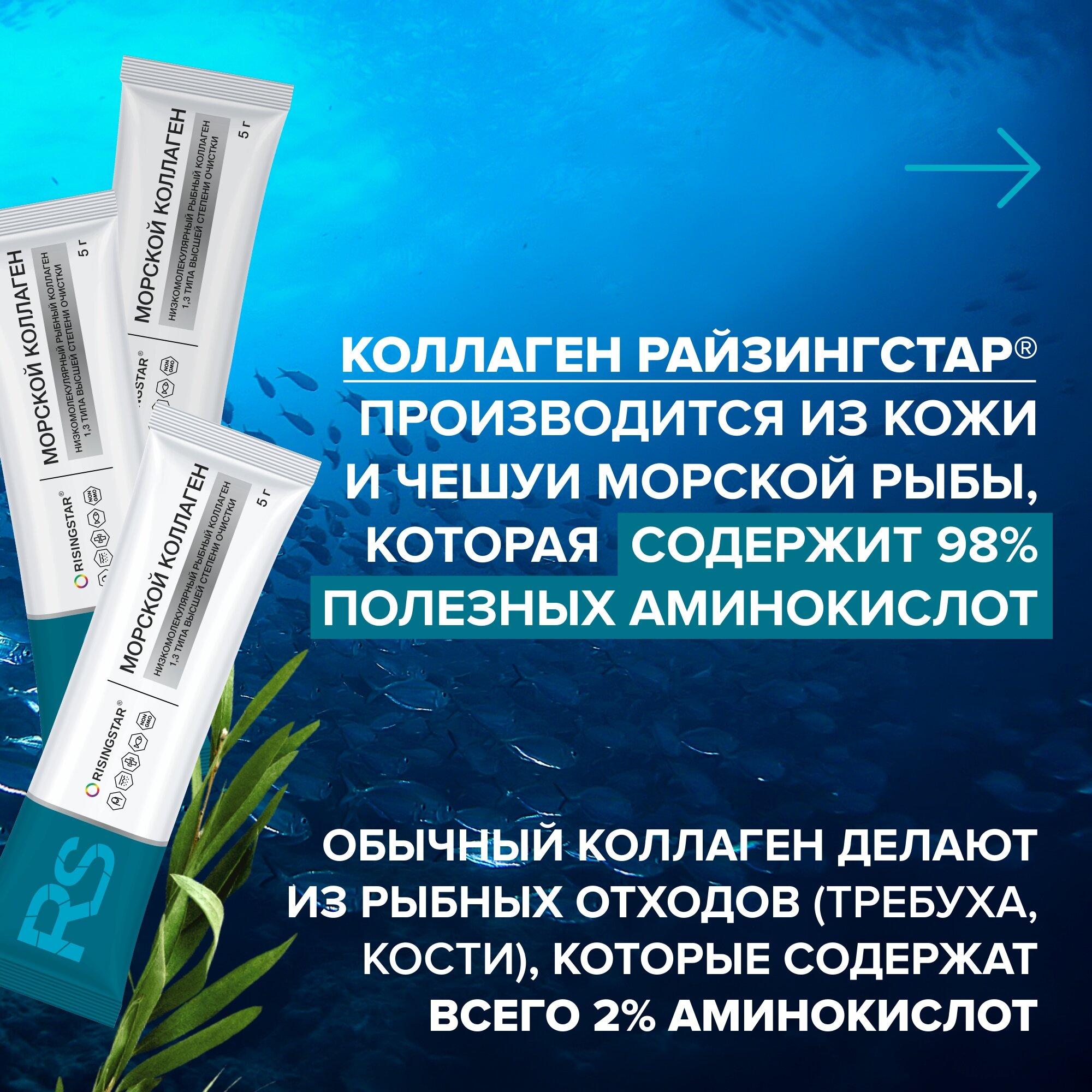 Коллаген морской с витамином С пор. Risingstar 5г 20шт ООО ПРОМЕТЕУС ФАРМА - фото №4