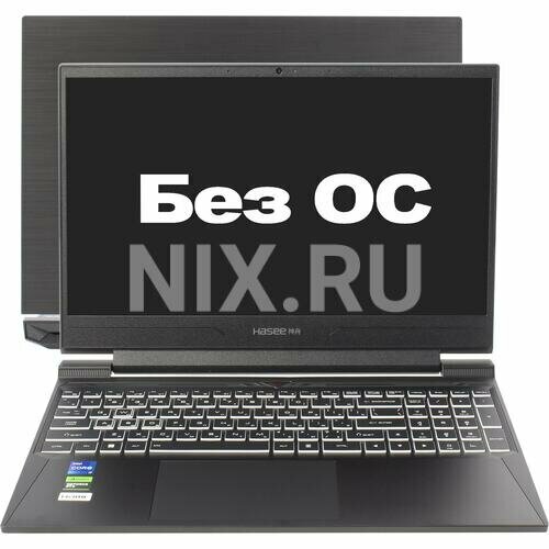 Ноутбук Hasee S8 10802400₽