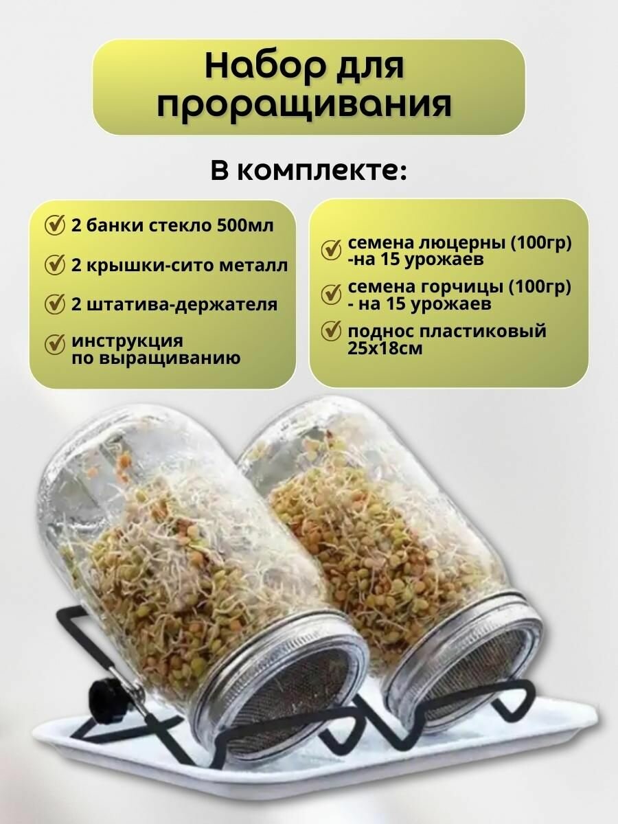 Банка для проращивания с крышкой сито