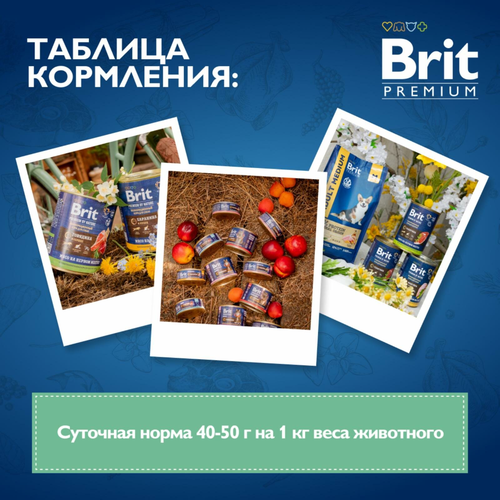 Консервы с индейкой для кошек с чувствительным пищеварением — фото 1