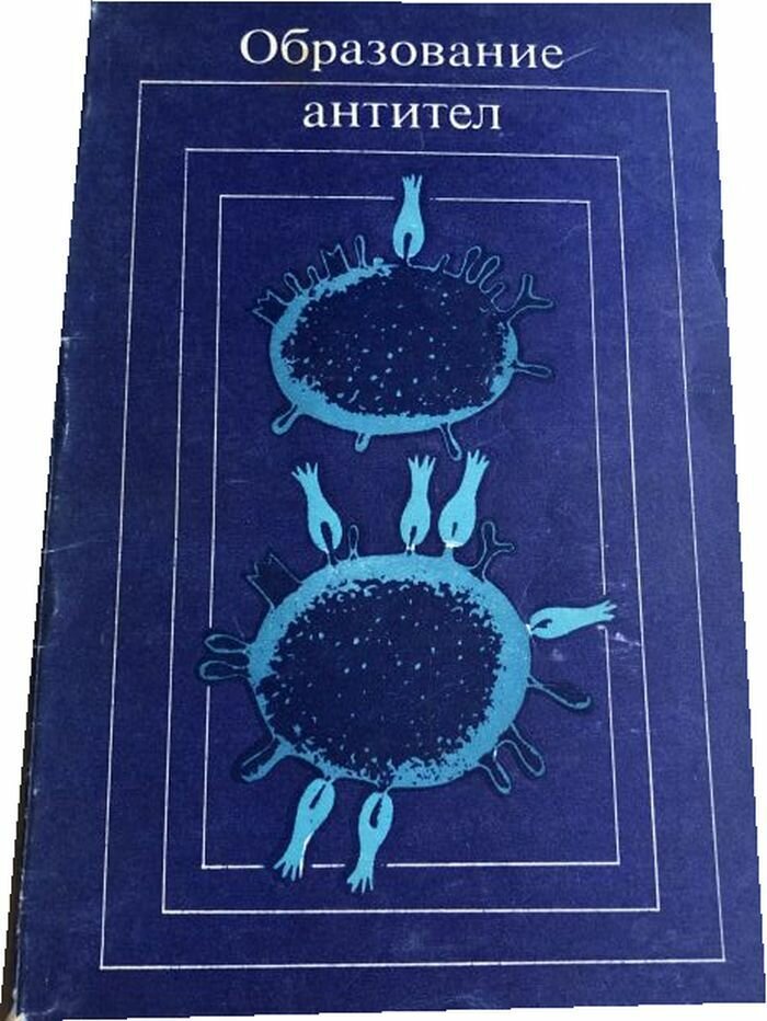 Образование антител.