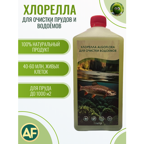 Хлорелла для очистки прудов и водоемов 1 литр