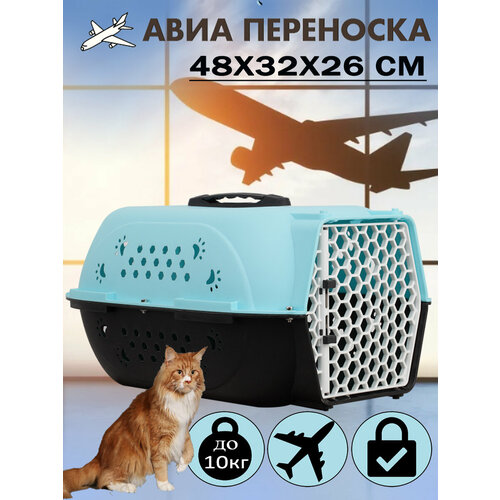 Клиппер-переноска для животных Чистый котик HP-C01 32х26х48 см 48 см 26 см 32 см голубой