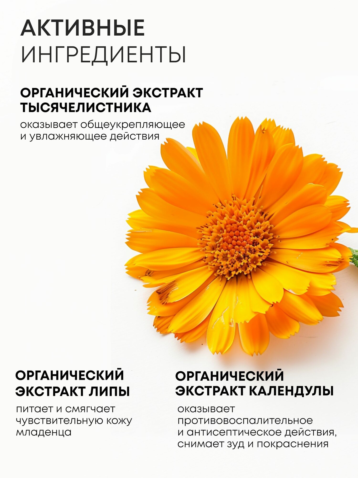 Natura Siberica Бибerika Детский шампунь без слез для девочек Лапочка-дочка — фото 1