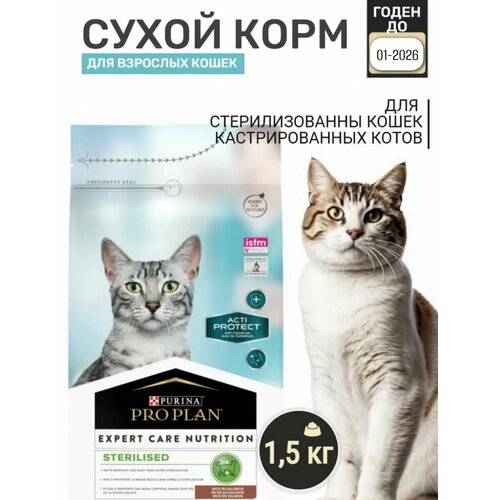 Сухой корм PURINA Pro Plan ActiProtect с лососем для стерилизованных кошек и кастрированных котов 1,5кг кг