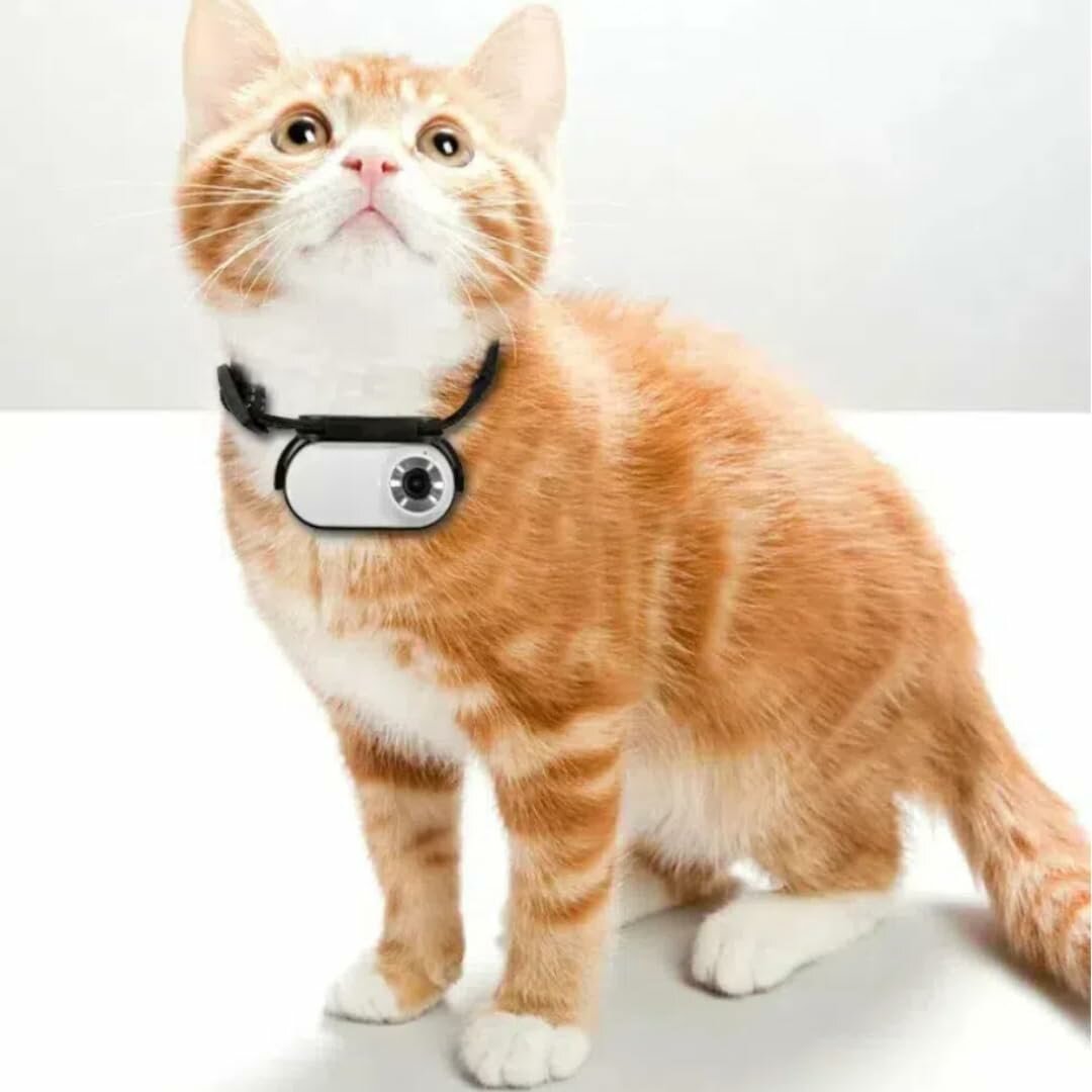 Картинки Ошейник для кошки, собаки с камерой Экшн-камера для животных, 128 ГБ с поворотом на 360 HD 1080P