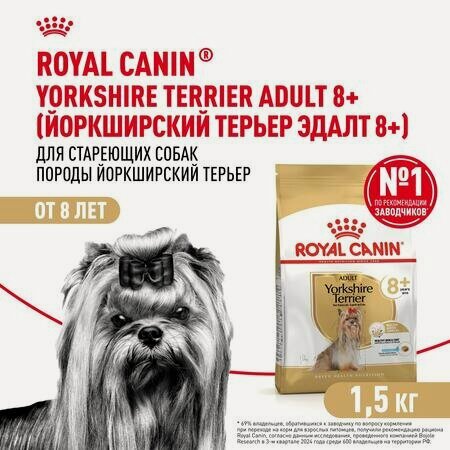 Изображение товара ROYAL CANIN YORKSHIRE TERRIER ADULT 8+ 2 шт по 1,5 кг корм для собак породы йоркширский терьер в возрасте от 8 лет