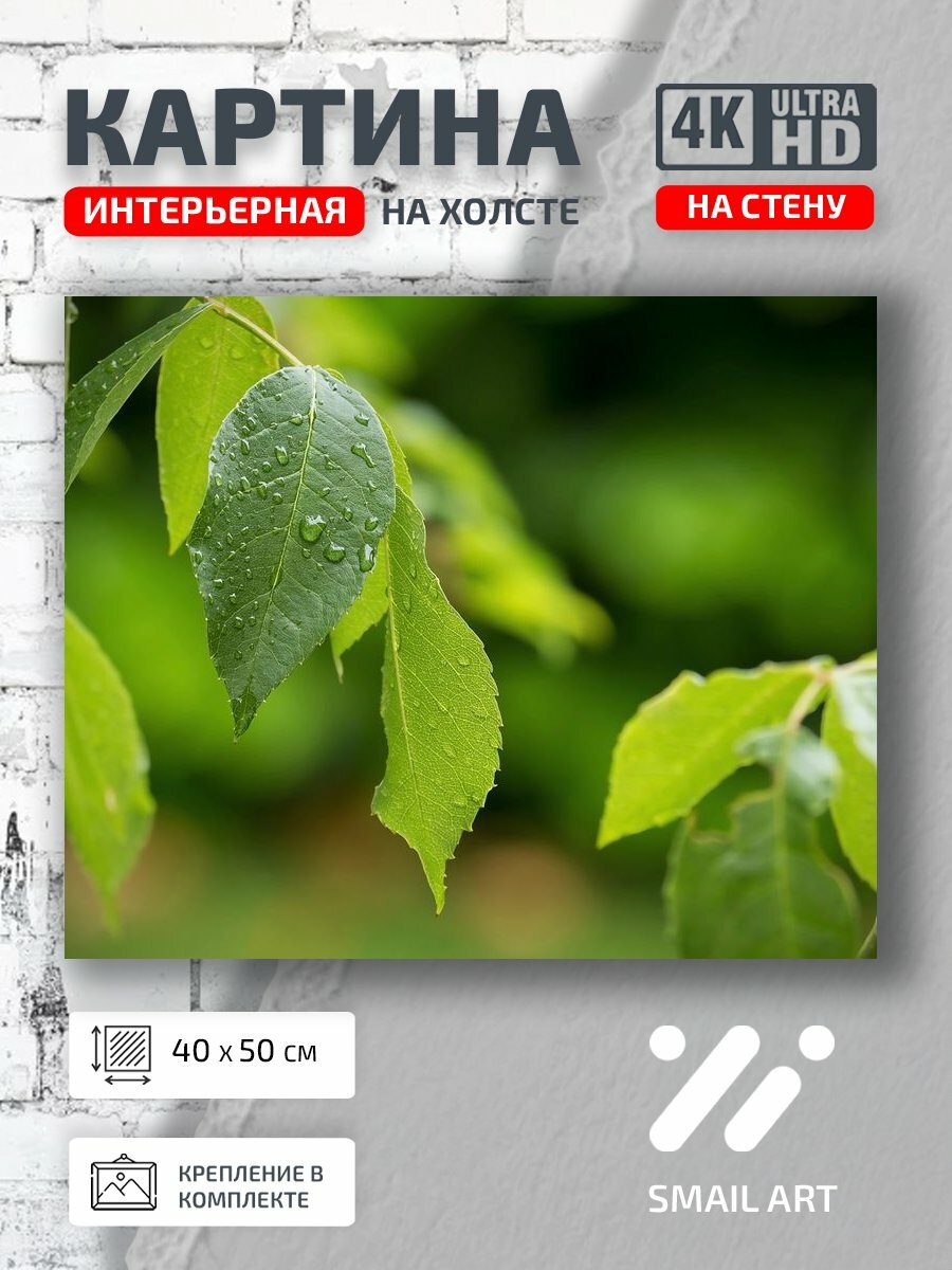Картина на холсте интерьерная 40 на 50 на стену Зелень Landscape для офиса пейзаж интерьер