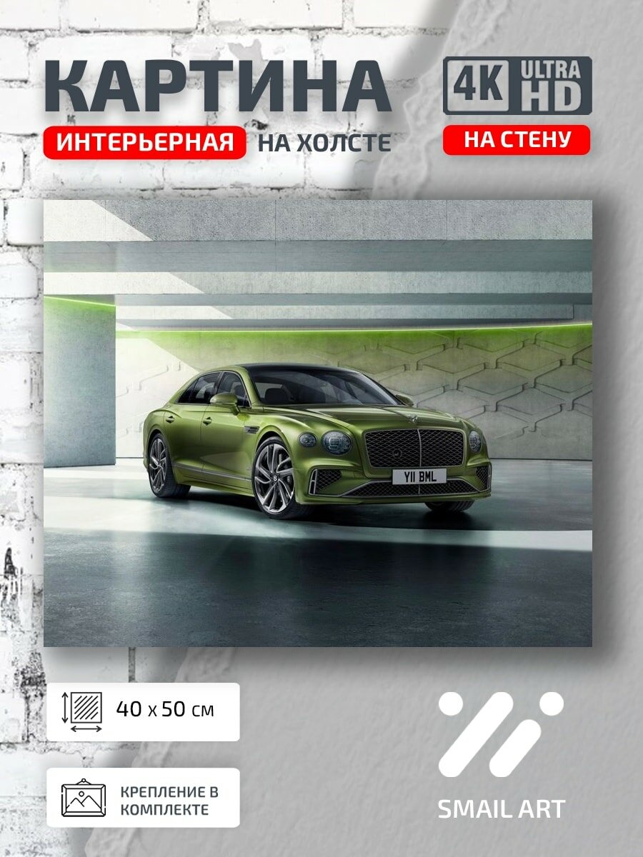 Картина на холсте интерьерная 40 на 50 на стену Spur Speed для спальни атмосфера