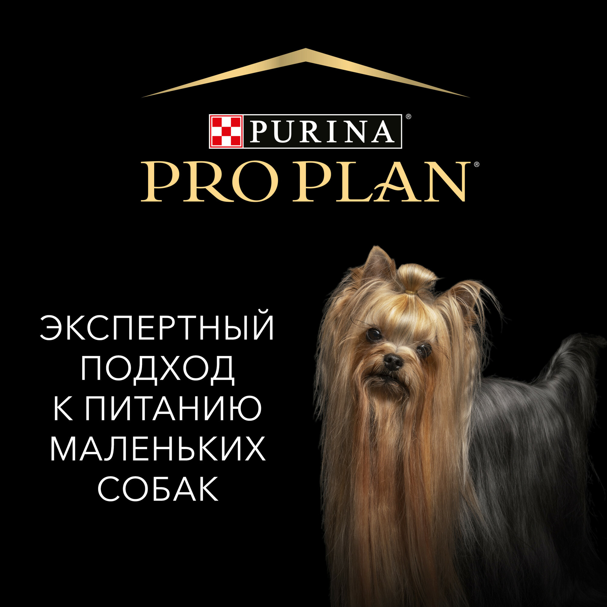 Влажный корм Purina ProPlan для склонных к набору веса собак мелких и карликовых пород, курица в соусе, 85гр - фото №3