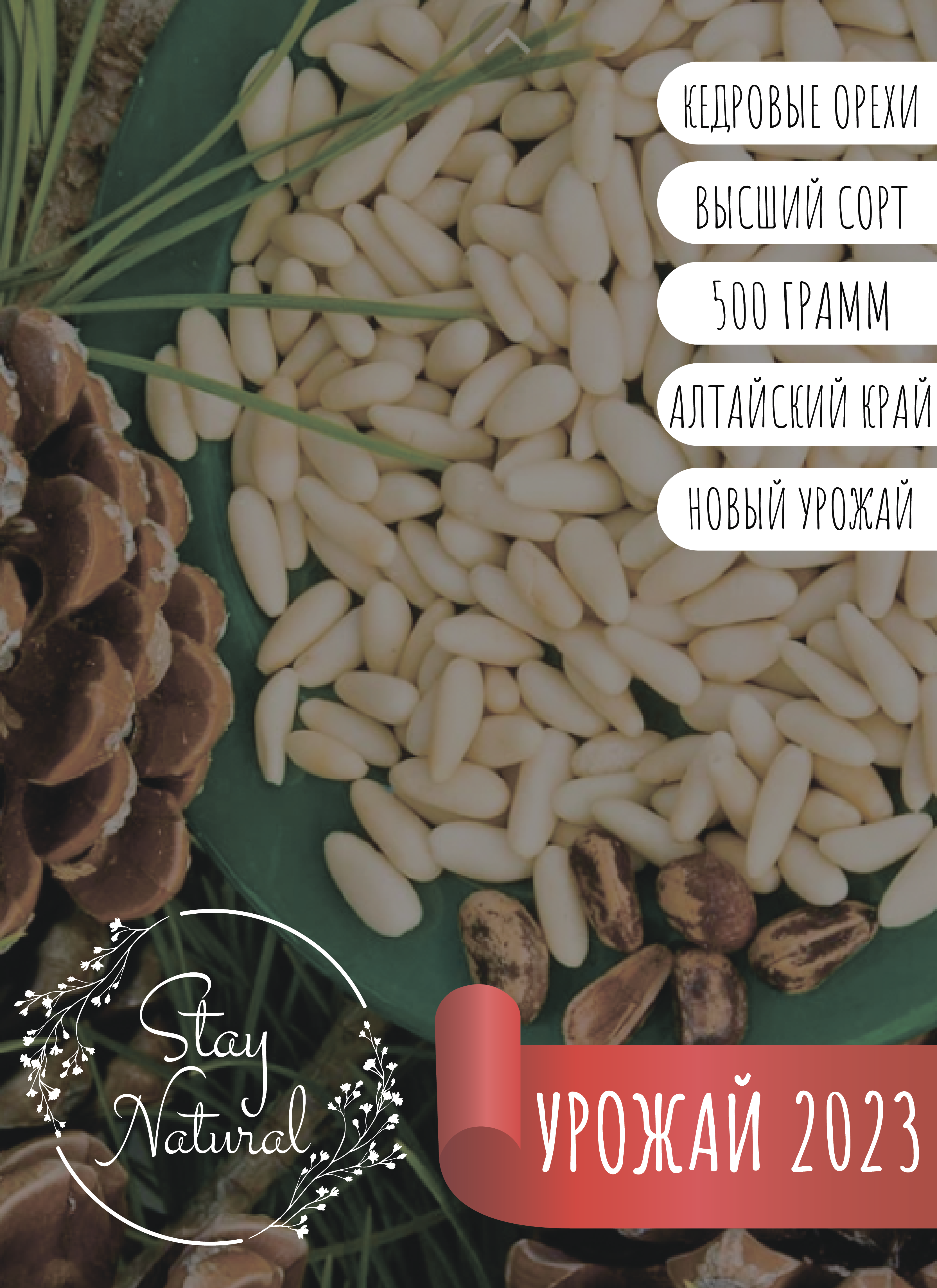 Кедровые орехи / Алтайский край Урожай 2023 / Stay Natural