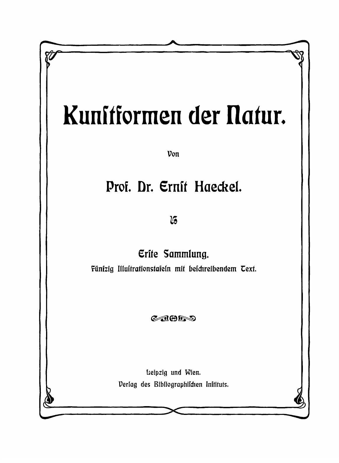 Kunstformen der Natur. Красота форм в природе: на немецком языке - фото №3