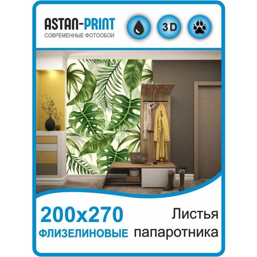 Фотообои флизелиновые Листья папоротника 200х270