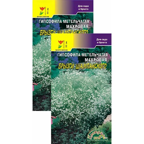 Гипсофила Брызги Шампанского (0,1 г), 2 пакета