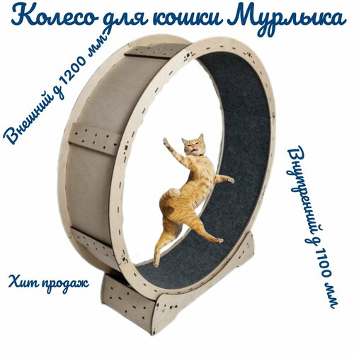 Беговое колесо для кошки Мурлыка