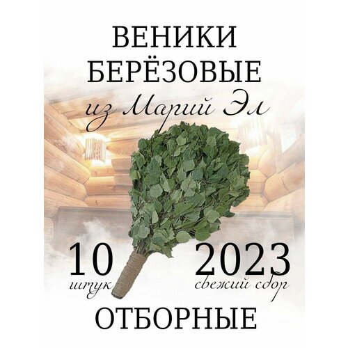 Веники для бани из Марий Эл отборные с ручкой из джута 10 штук в коробке