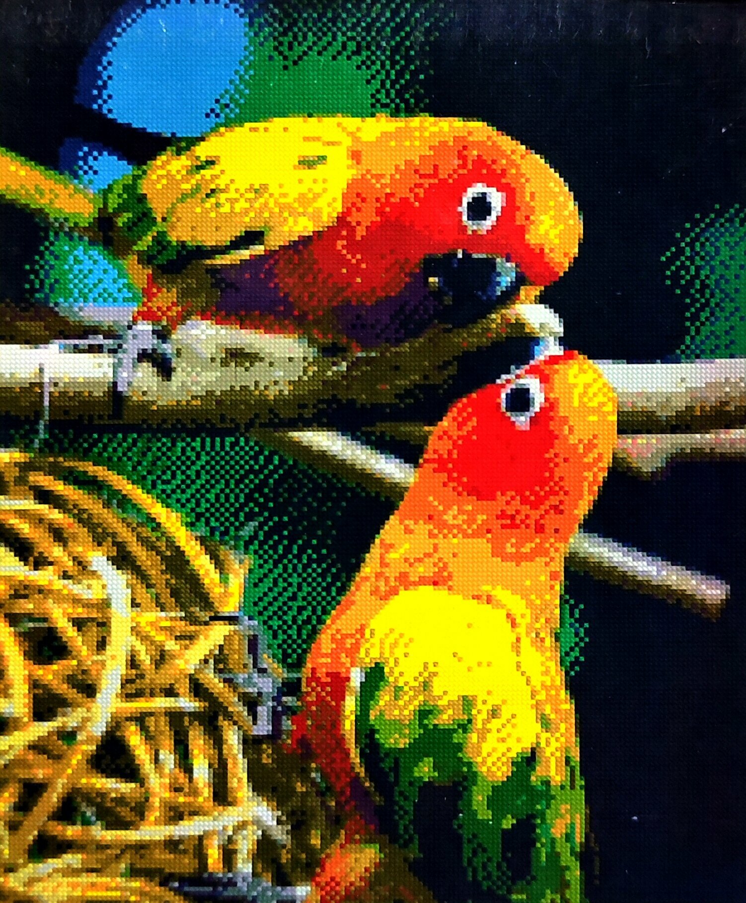 фото Алмазная мозаика квадратные стразы пара, неразлучники 40*50 попугаи, какаду, птицы, экзотика, тропики.