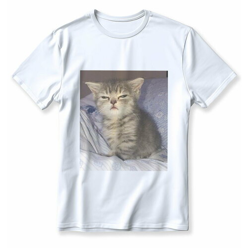 фото Футболка, размер m, белый top t-shirt