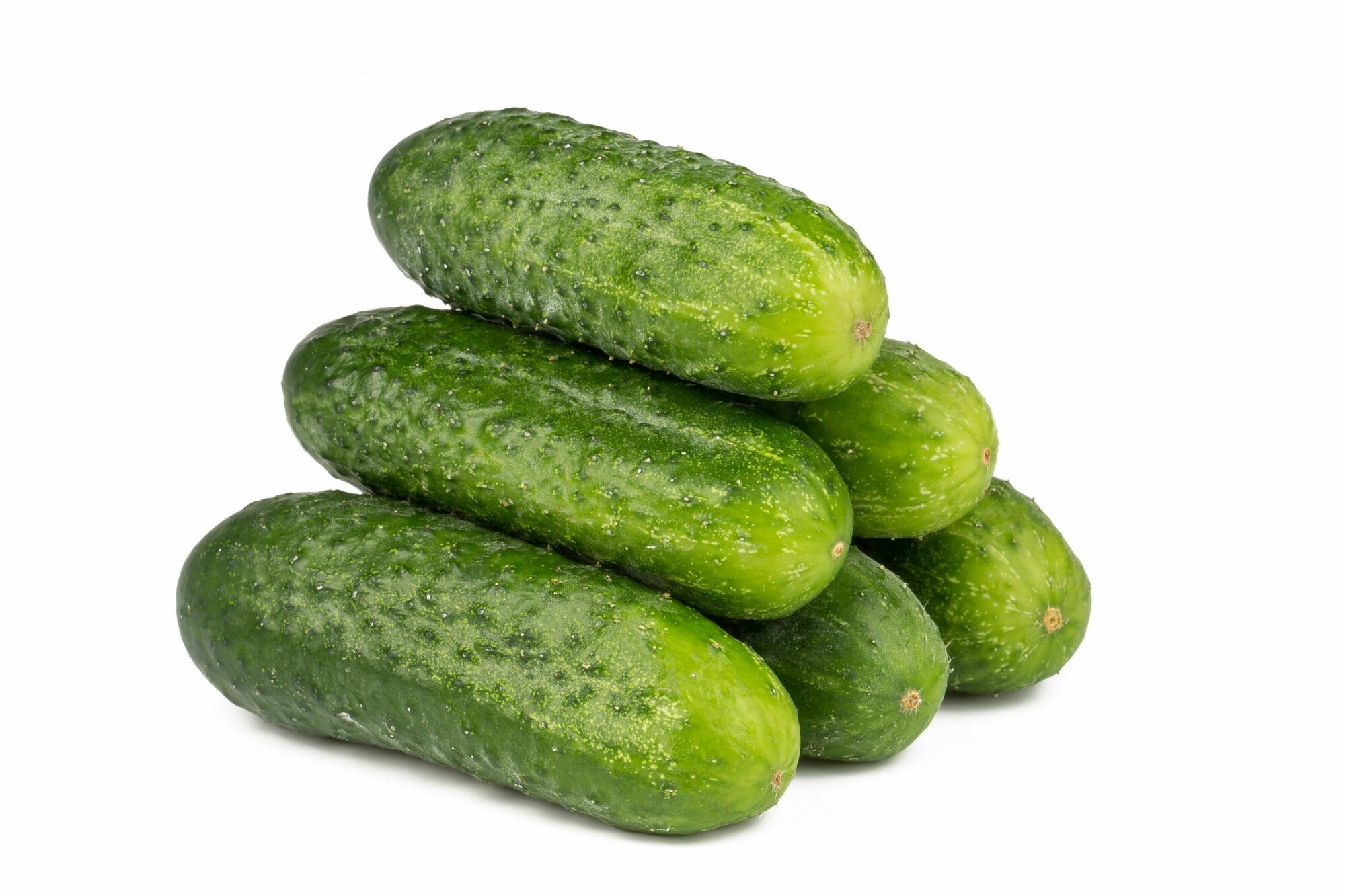 Огурец Рубато F1 новый раннеспелый партенокарпический гибрид иностранной селекции не прекращает развитие даже при интенсивном длительном плодоношении 6 шт семян