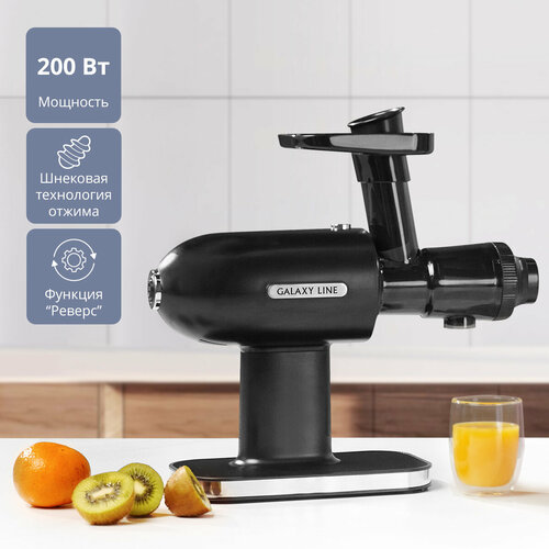 Соковыжималка шнековая GALAXY LINE GL0813 799000₽