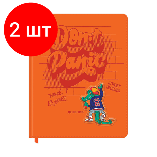 Комплект 2 шт, Дневник 1-11 кл. 48л. (твердый) BG Don't panic, иск. кожа, термотиснение, 3D-элемент, ляссе