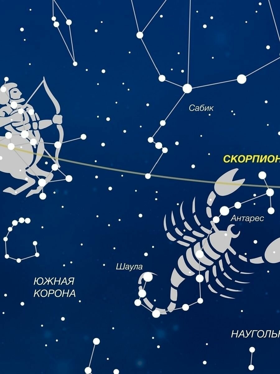 Звездное небо. Созвездия, светящиеся в темноте. Карта настенная в тубусе - фото №6