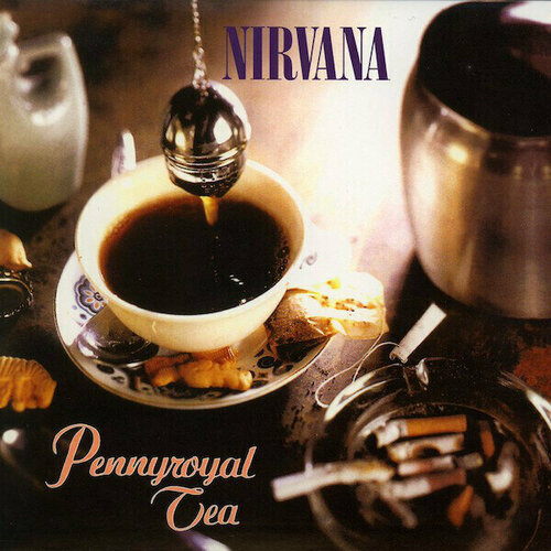 Виниловая пластинка Nirvana - Pennyroyal Tea (7 Inch / reissue of famous withdrawn cd single / now on vinyl / 6000 copies). 1 LP (7) nirvana nirvana lp спрей для очистки lp с микрофиброй 250мл набор