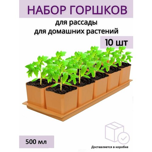 Горшки для рассады и цветов, горшок для цветов - 10 шт по 500 мл на общем поддоне, оранжевые