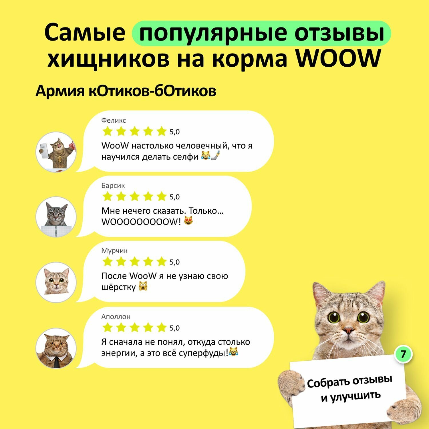 Корм для кошек WOOW филе в желе цыплёнок с креветкой 100гр (12 банок) - фотография № 15