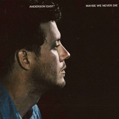 Виниловая пластинка Anderson East - Maybe We Never Die. 1LP (Black Vinyl/Poster)