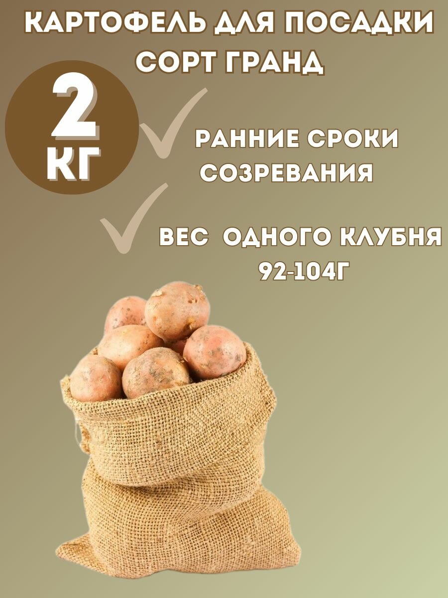 Картофель семенной Гранд 2кг