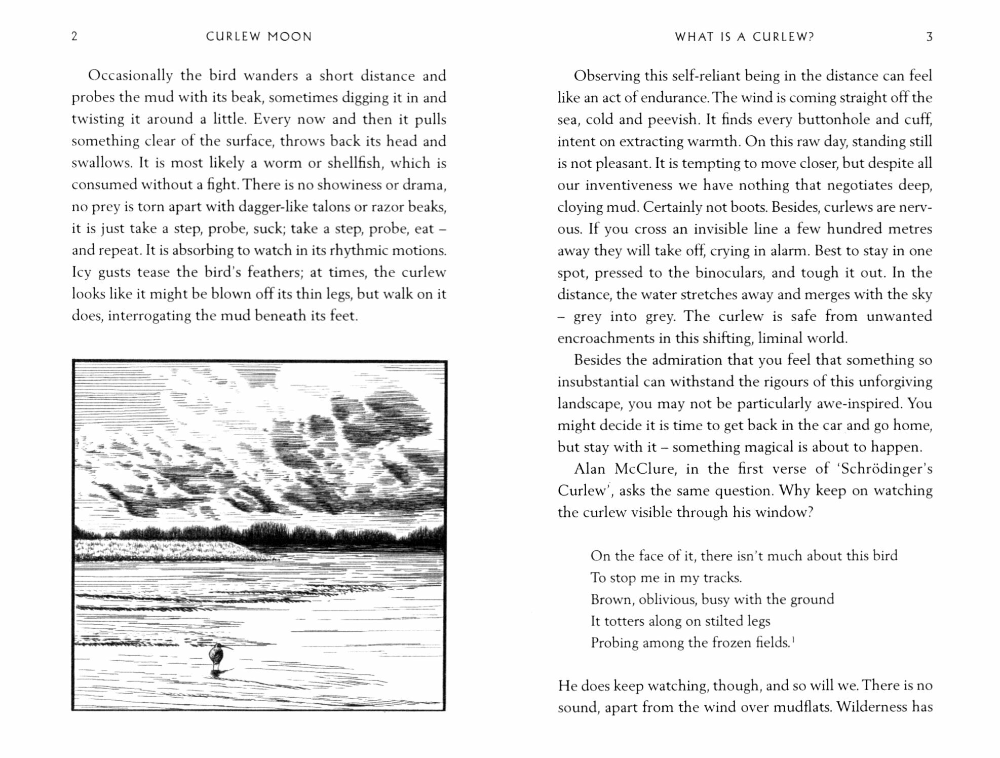 Curlew Moon (Colwell Mary) - фото №2