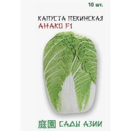 Капуста пекинская Anako F1, 10 штук семена капуста пекинская сады азии джаз f1 10шт