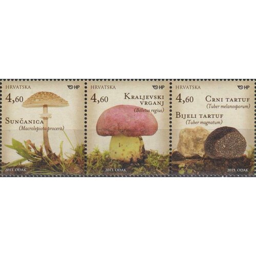 Почтовые марки Хорватия 2013г. Грибы Грибы MNH