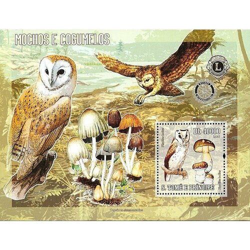 Почтовые марки Сан-Томе и Принсипи 2006г. Совы и грибы Совы, Грибы MNH