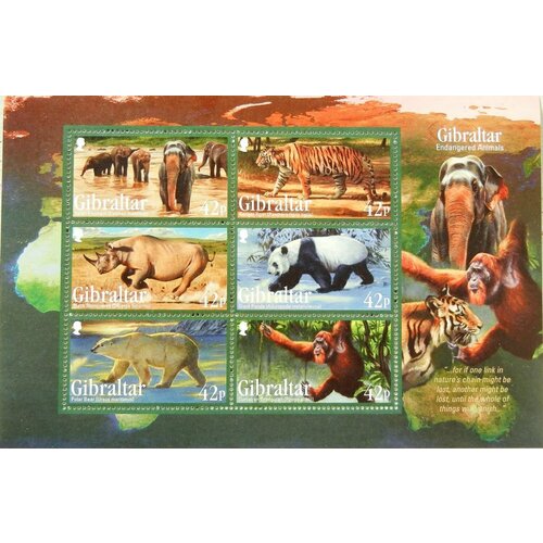 Почтовые марки Гибралтар 2011г. Вымирающие животные Фауна, Медведи, Обезьяны, Панды, Тигры, Слоны, Носороги MNH почтовые марки никарагуа 1986г авиапочта охраняемые животные тигры млекопитающие обезьяны слоны зебры жирафы носороги mnh