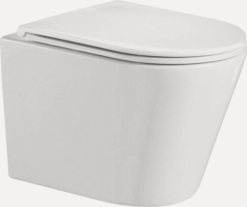 Изображение товара Унитаз подвесной WeltWasser Merzbach 043 GL-WT