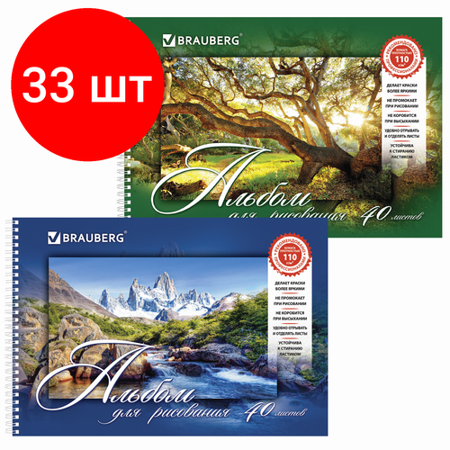 Комплект 33 шт, Альбом для рисования, А4, 40 листов, гребень, обложка картон, BRAUBERG, 205х290 мм, Удивительная Природа (2 вида), 102832