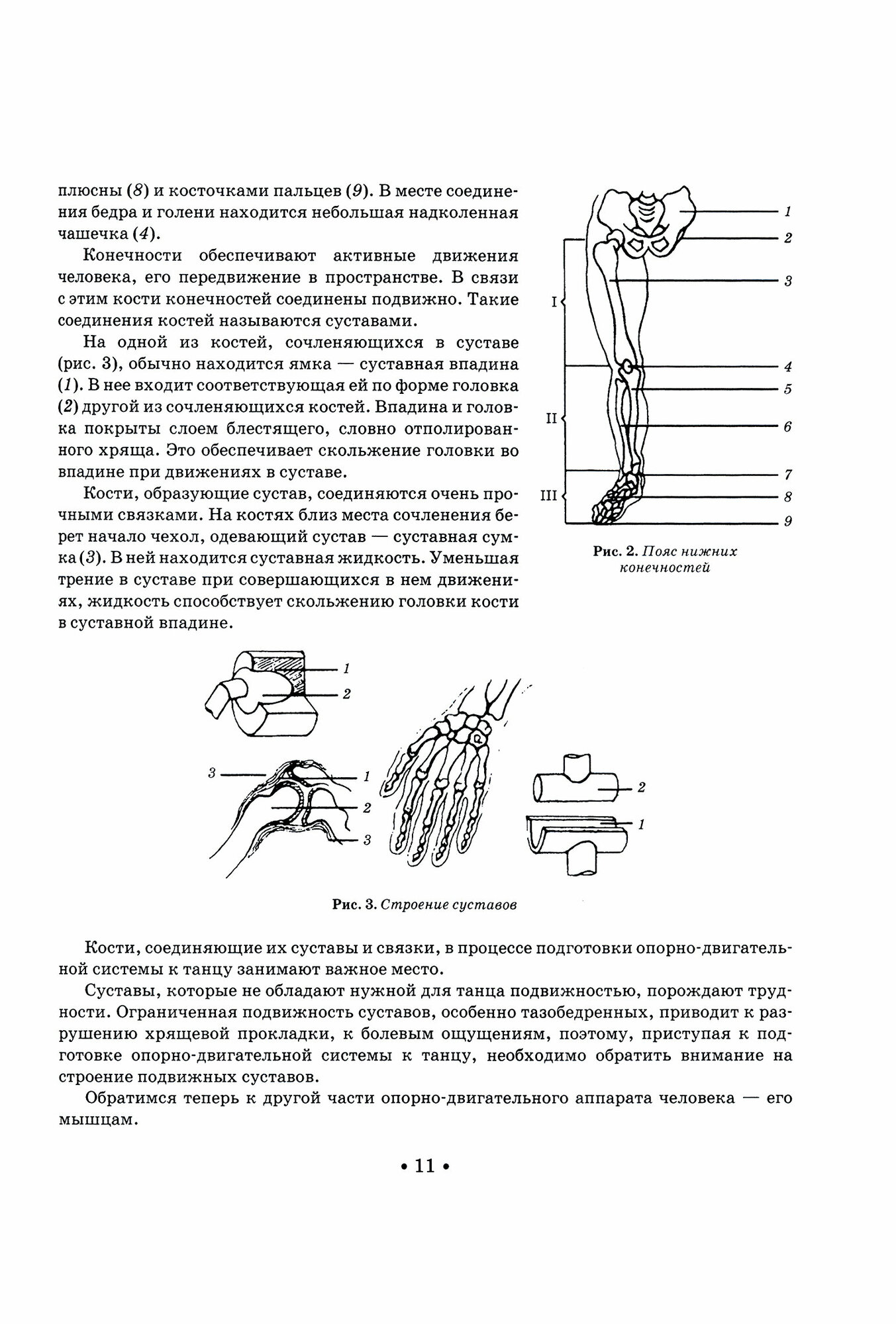 Школа музыкально-хореографического искусства - фото №5