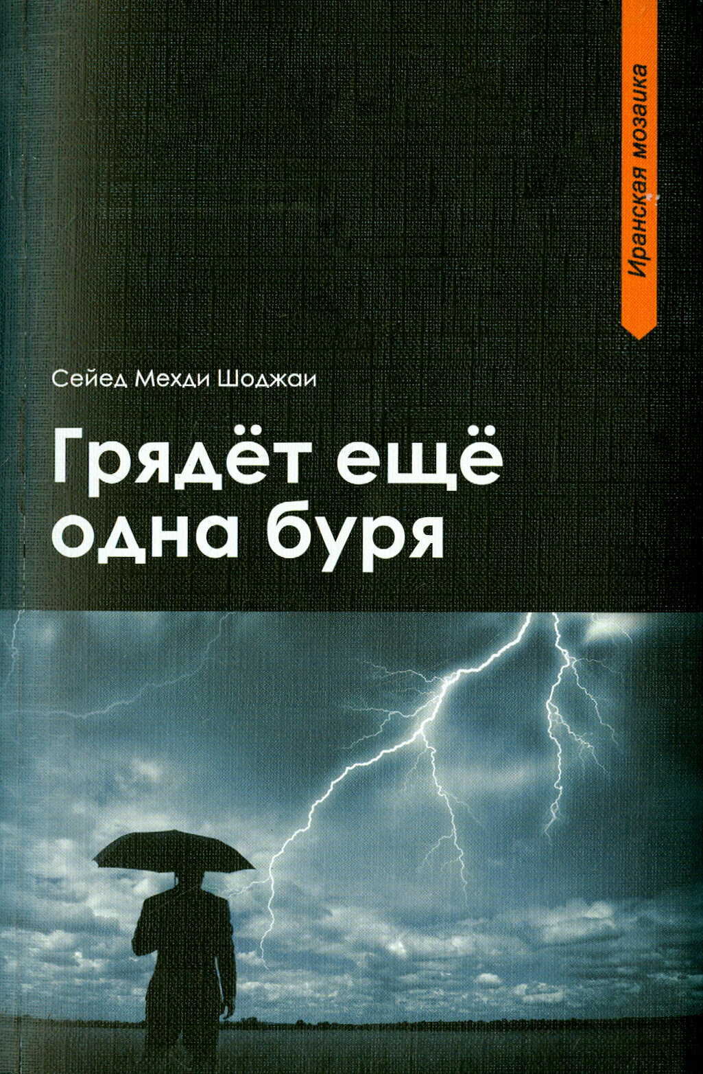 Грядет еще одна буря (Сайед Мехди Шоджаи) - фото №4